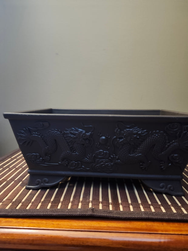 10" Dragon plastic rectangular trainer Bonsai Pot (Copy)