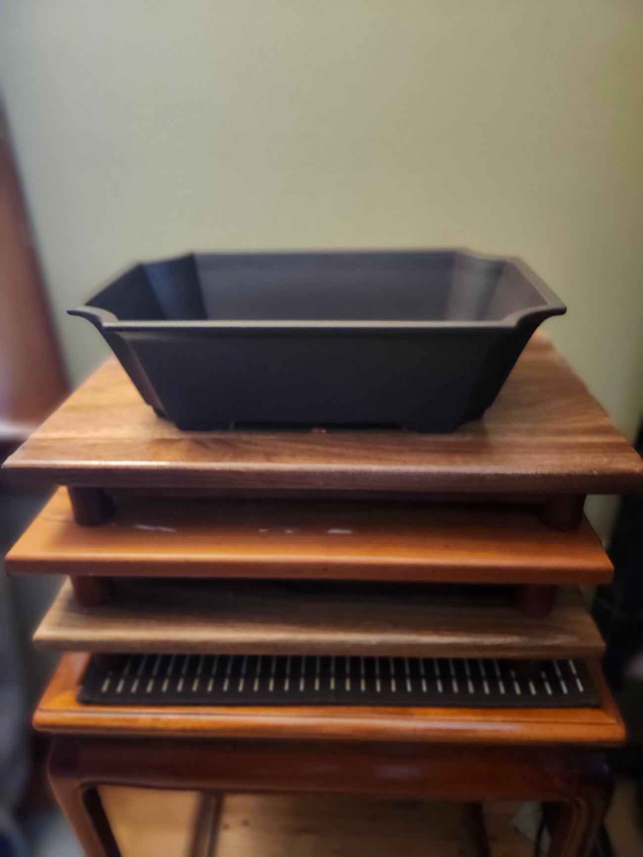 15" plastic rectangular trainer Bonsai Pot
