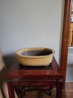 Mustard Yellow Japanese Glazed Rectangular Bonsai Pot with pushed in corners