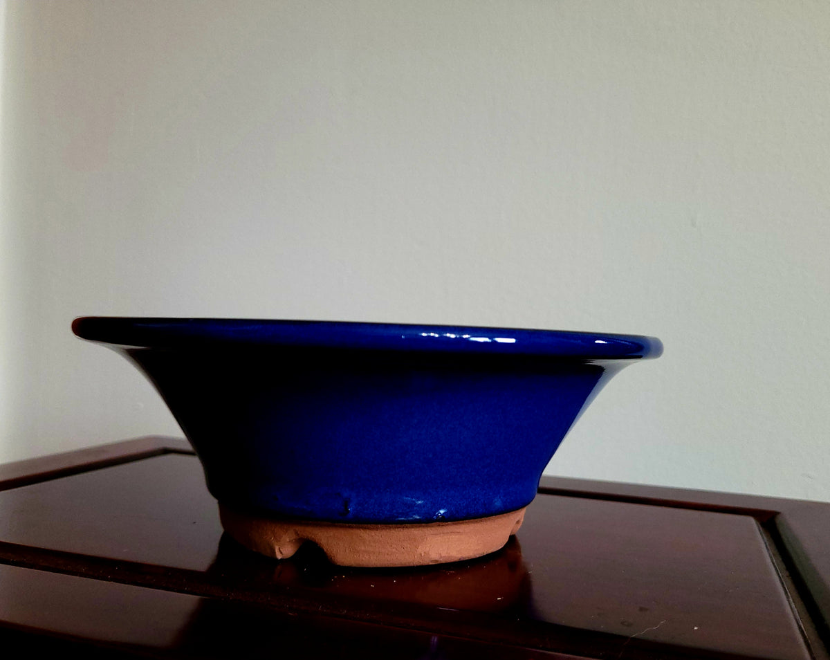 Beautiful 7" Round Japanese Blue pot