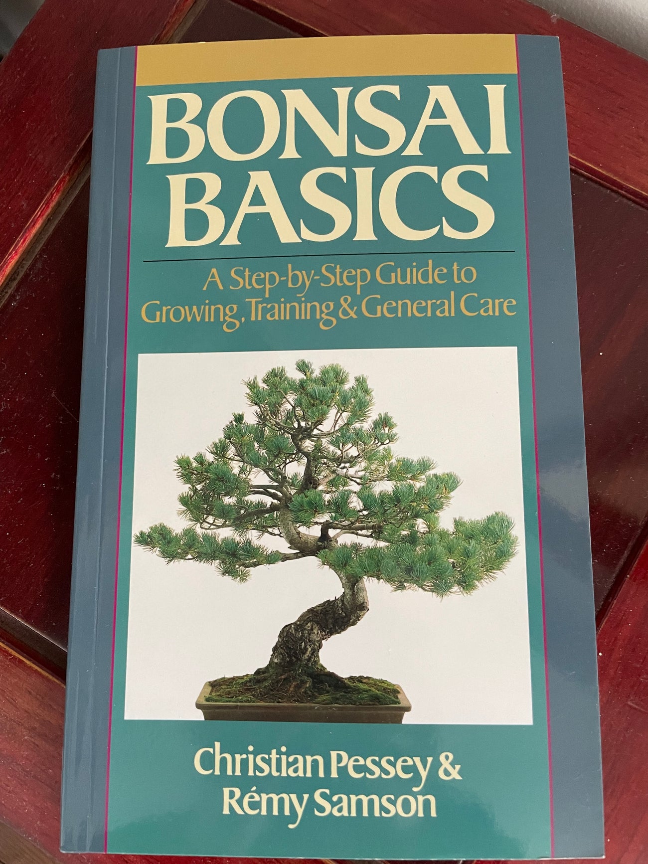 Bonsai Basics by Christian Pessey & Remy Samson
