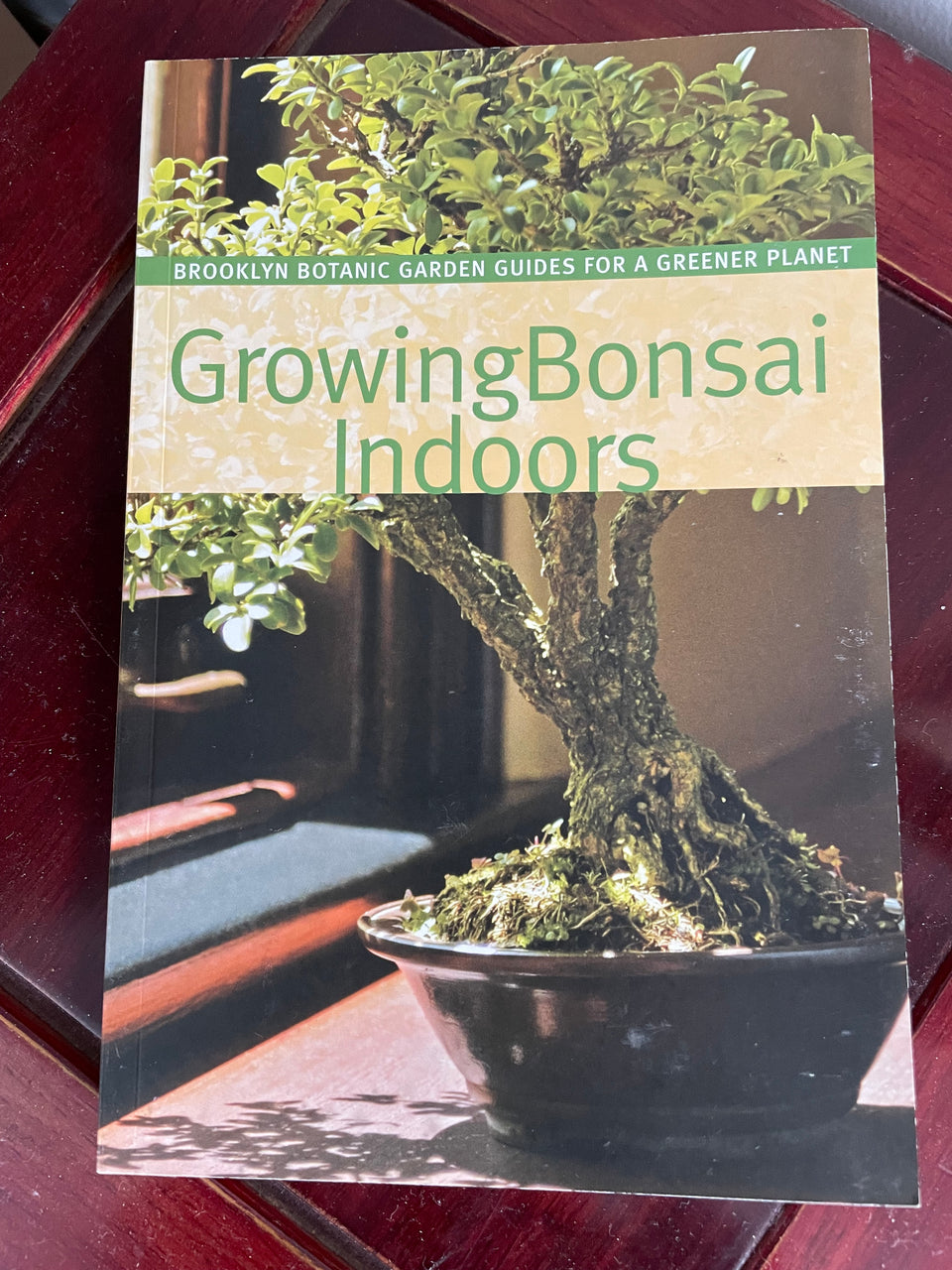 Growing Bonsai Indoors Edited by Pat Lucke Morris and Sigrun Wolff Saphire