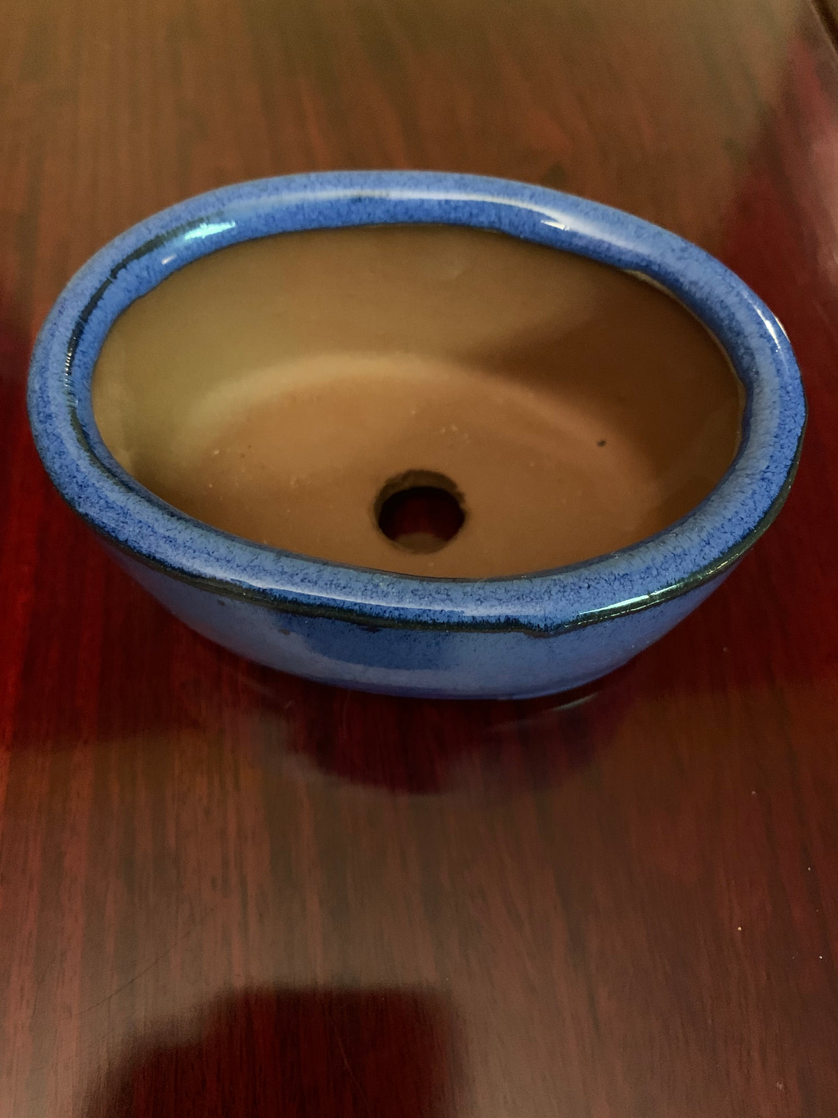 4 1/2" Cobalt Blue Glazed Oval Bonsai Pot