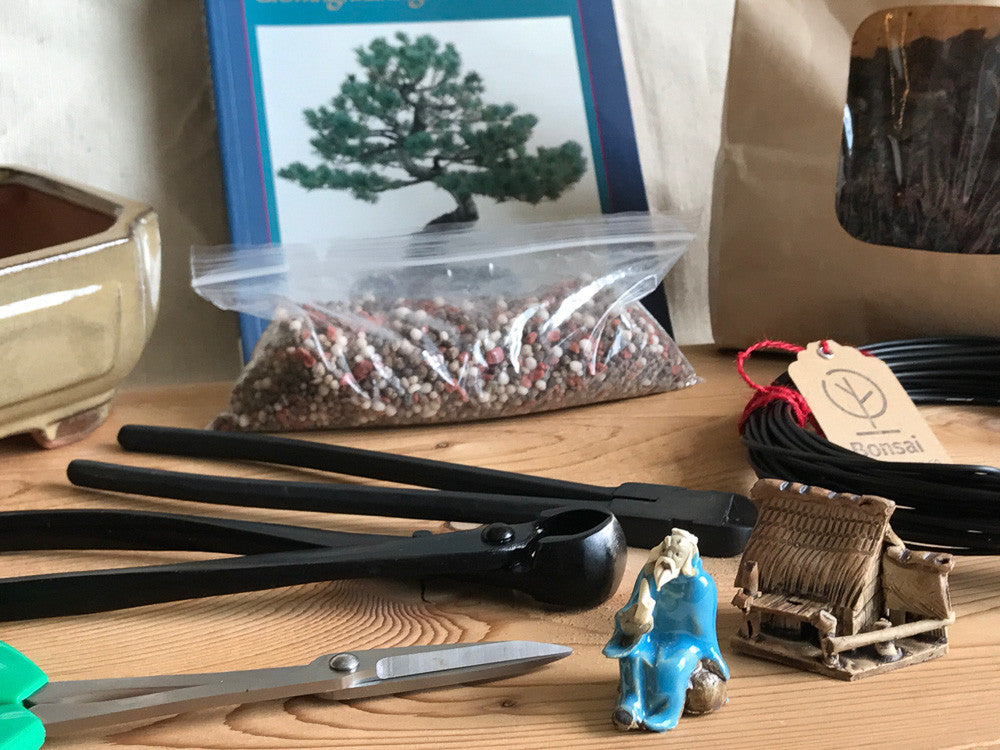 Deluxe bonsai gift set