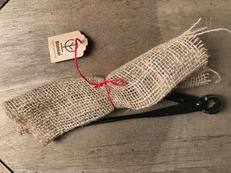 Bonsai knob cutter gift wrap