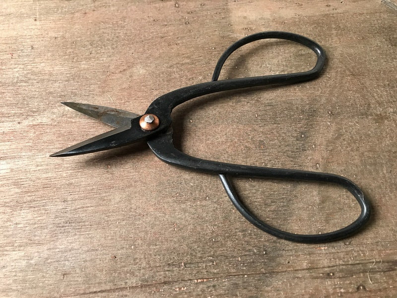 standard bonsai scissors